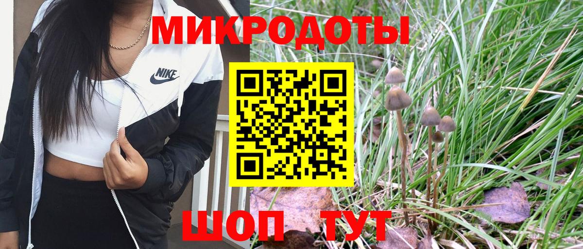 Галлюциногенные грибы Magic Shrooms Шадринск