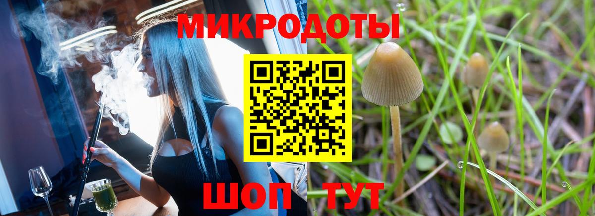 Галлюциногенные грибы Psilocybine cubensis  Вход с VPN  Шадринск 